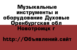 Музыкальные инструменты и оборудование Духовые. Оренбургская обл.,Новотроицк г.